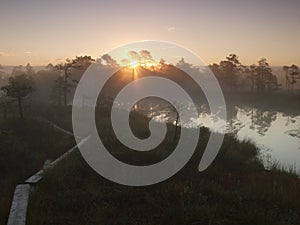 Landscape of Seli Bog