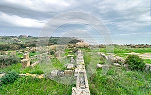 Landscape in Selinunte archaeological area