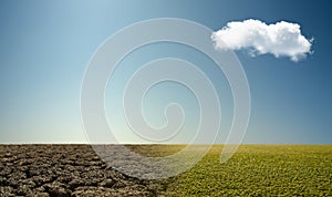 Landscape with severe drought desert and fade green grass field