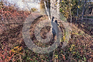 Landscape with the shadow of the photographer