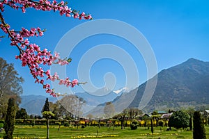 Landscape from Shalimar garden, Srinagar, India