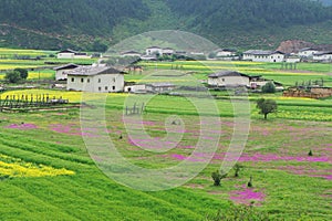 Landscape of Shangri-La tibetan