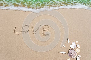 Landscape with shells on tropical beach,