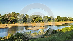 Landscape of Shingwedzi river in Kruger National Park