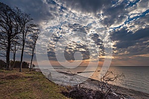 Landscape on shore of the Baltic Sea in Graal Mueritz, Germany