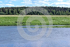 Landscape on the shores of the River, field with green grass