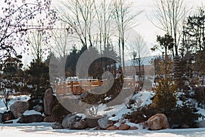 Landscape shot of the bridge in the Japanese gardens