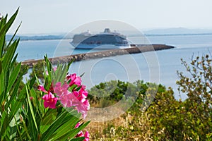 Landscape shot of huge yacht in the sea with bright pink oleander flowers in the foreground