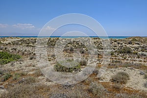 Landscape shot of Lady`s Mile, Limassol