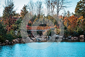 Landscape shot of the lake and bridge in the Frederik Meijer Gardens