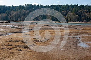 A landscape shot of Nisqually river estuary in the Billy Frank Jr. Nisqually National Wildlife Refuge, WA, USA