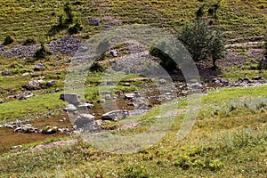 Landscape shows problem of environmental pollution. In a shallow river with clean water from which animals drink, are visible