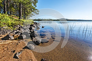 The landscape of Siebdniesjavrrie lake coastline in Swedish Lapland. Sandy beach with stones is at foreground, the pine forest is