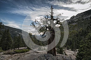 Landscape in the Sierra Nevada Mountains