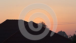 The landscape silhouette of roof , tree , electric wire and birds  on sky background in the morning before sunrise