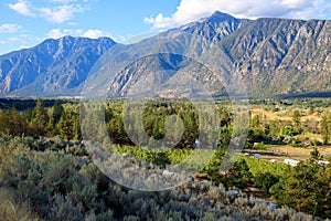 Landscape Similkameen Valley Apple Tree Orchard photo