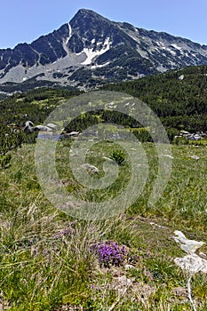 Landscape with Sivrya peak and Banski lakes, Pirin Mountain