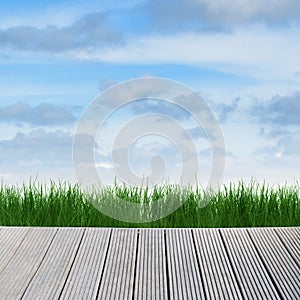 Landscape with sky, grass and wood