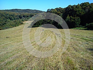 Landscape of slope Fruska mountains in Serbia in early autumn. Steep slope after haymaking. Dry grass is trimmed. In the