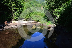 Landscape with small calm summer mountain pond, reflecting dense forest foliage around