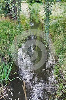 Landscape with small forest stream