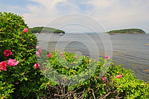Landscape of small islands in Frenchman Bay at Bar Harbor, Maine, USA