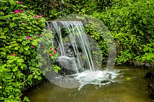 Landscape. Small waterfall cascade surrounded by tropical plants. Nature background. Water flow. Slow shutter speed