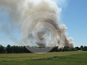 Landscape with smoke from fire