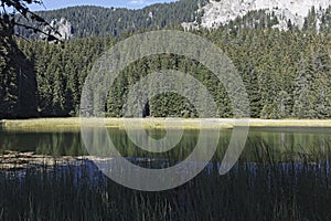 Landscape of Smolyan lakes at Rhodope Mountains, Bulgaria