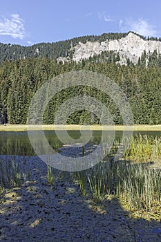 Landscape of Smolyan lakes at Rhodope Mountains, Bulgaria