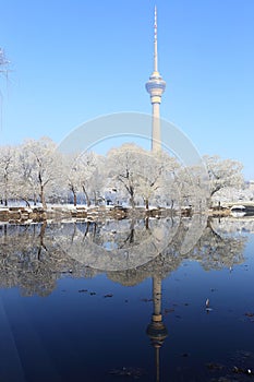 Landscape of snow