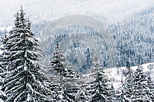 Landscape of snow covered mountain of Zlatar