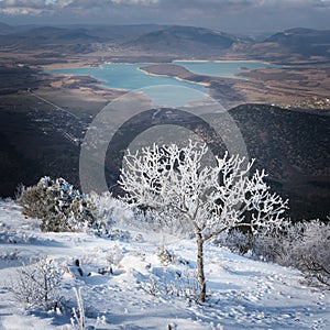 Landscape with snow-covered tree on the mountain slope