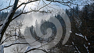 Landscape of snow falling on forest at mountains. Winter landscape, cold weather, blizzard and storm