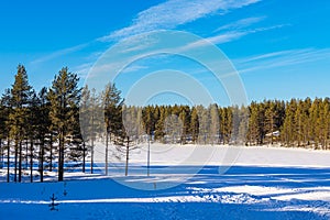 Landscape with snow and trees in wintertime in Kuusamo, Finland