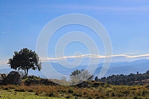 Landscape with snowcovered mountains in the distance near Mycenae Greece on the Peloponnese Peninsula