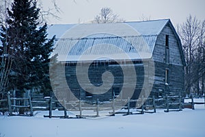 Landscape of snowy old grey gambrel barn with icicles photo