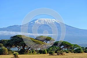 Landscape of the snowy peak of Mount Kilimanjaro covered with clouds under sunlight with a safari