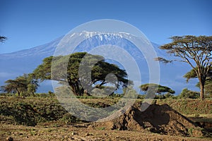 Landscape of the snowy peak of Mount Kilimanjaro covered with clouds under sunlight with a safari