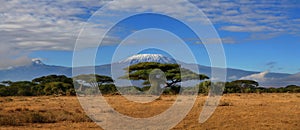 Landscape of the snowy peak of Mount Kilimanjaro covered with clouds under sunlight with a safari