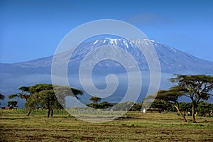 Landscape of the snowy peak of Mount Kilimanjaro covered with clouds under sunlight with a safari