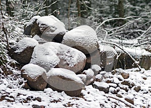 Landscape with a snowy road and a stone on the side of the road, trees covered with snow, winter