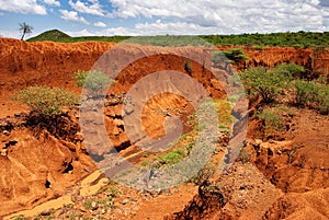 Landscape with Soil Erosion, Kenya