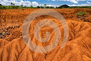 Landscape with Soil Erosion, Kenya