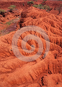 Landscape with Soil Erosion, Kenya