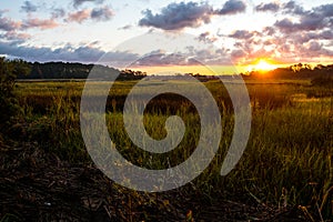 Landscape of south carolina low country marsh at sunrise with cloudy sky