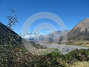 Landscape, South Island, New Zealand