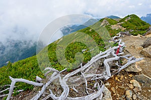 Landscape of Southern Japan Alps