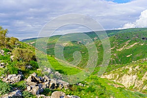 Landscape of the southern part of the Golan Heights