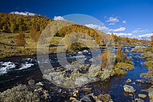 landscape of Southern Vestlandet, Norway